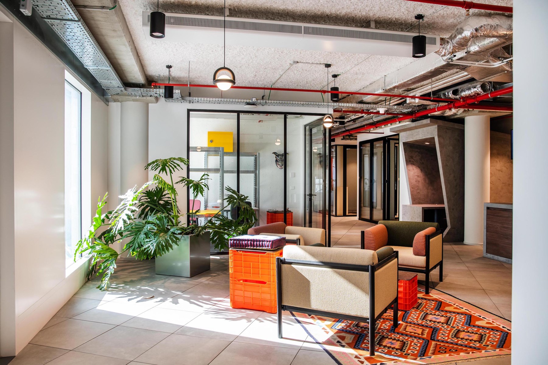 Credits - Marthe Hoet © Planting and carpets add a homely vibe to the space